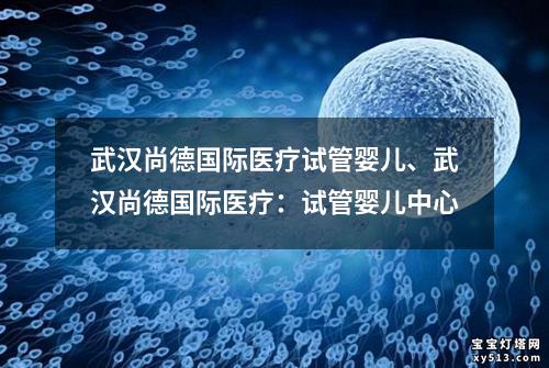 武汉尚德国际医疗试管婴儿、武汉尚德国际医疗：试管婴儿中心