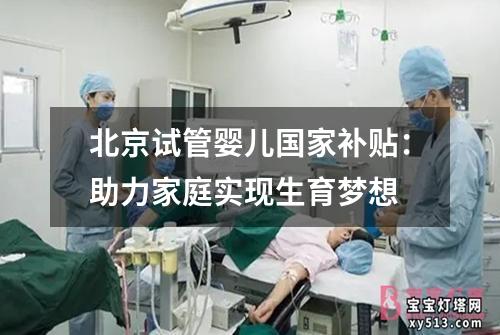 北京试管婴儿国家补贴：助力家庭实现生育梦想