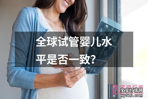 全球试管婴儿水平是否一致？