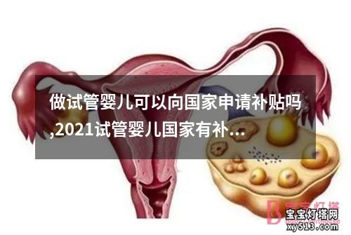 做试管婴儿可以向国家申请补贴吗,2021试管婴儿国家有补贴吗：试管婴儿是否可申请国家补贴？