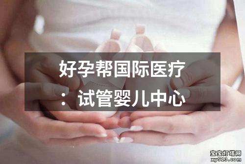 好孕帮国际医疗：试管婴儿中心