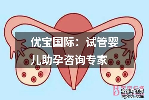 优宝国际：试管婴儿助孕咨询专家