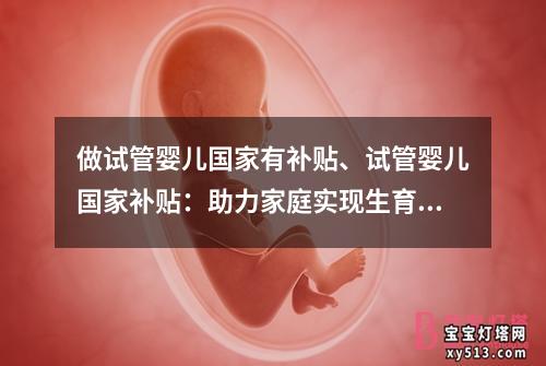 做试管婴儿国家有补贴、试管婴儿国家补贴：助力家庭实现生育梦想