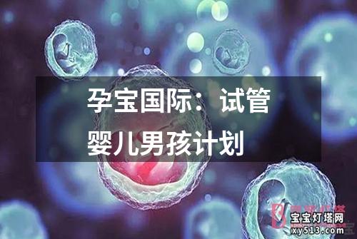 孕宝国际：试管婴儿男孩计划