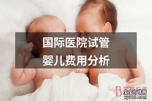 国际医院试管婴儿费用分析