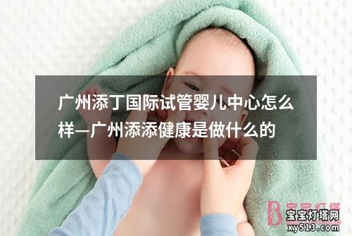 广州添丁国际试管婴儿中心怎么样—广州添添健康是做什么的