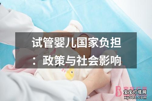 试管婴儿国家负担：政策与社会影响