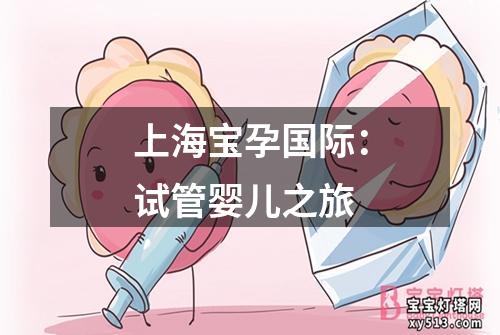 上海宝孕国际：试管婴儿之旅