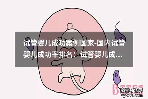 试管婴儿成功案例国家-国内试管婴儿成功率排名：试管婴儿成功案例国家汇总