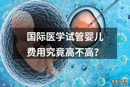 国际医学试管婴儿费用究竟高不高？