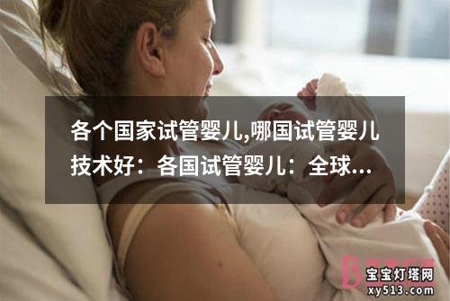 各个国家试管婴儿,哪国试管婴儿技术好：各国试管婴儿：全球新生命的奇迹