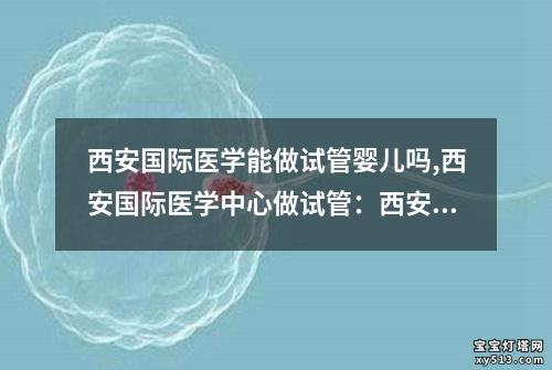 西安国际医学能做试管婴儿吗,西安国际医学中心做试管：西安国际医学：试管婴儿服务介绍