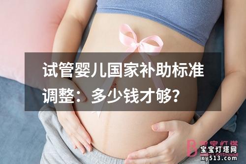 试管婴儿国家补助标准调整：多少钱才够？