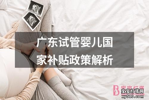 广东试管婴儿国家补贴政策解析