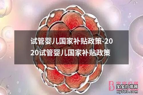 试管婴儿国家补贴政策-2020试管婴儿国家补贴政策