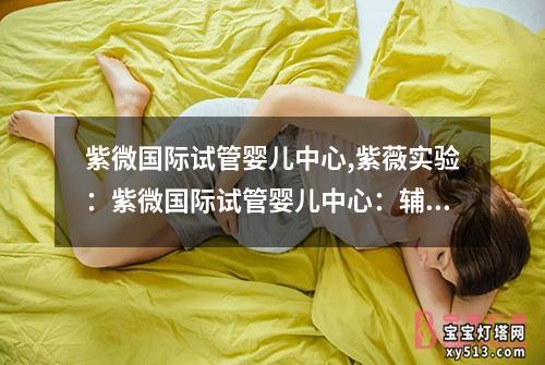 紫微国际试管婴儿中心,紫薇实验：紫微国际试管婴儿中心：辅助生殖技术的专业服务