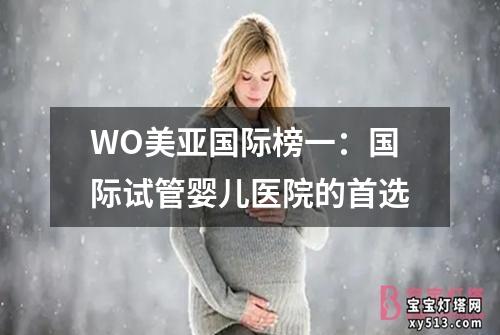 WO美亚国际榜一：国际试管婴儿医院的首选