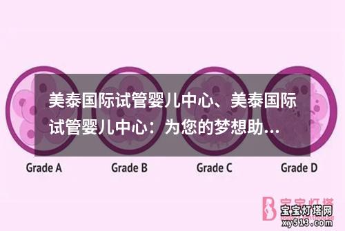 美泰国际试管婴儿中心、美泰国际试管婴儿中心：为您的梦想助力