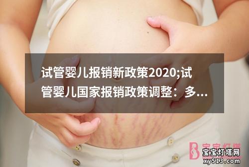 试管婴儿报销新政策2020;试管婴儿国家报销政策调整：多少费用将被覆盖？