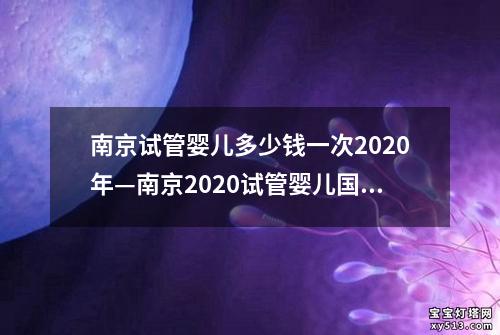 南京试管婴儿多少钱一次2020年—南京2020试管婴儿国家补贴政策解读