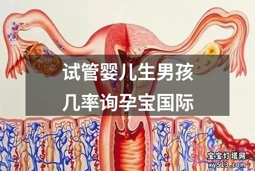 试管婴儿生男孩几率询孕宝国际