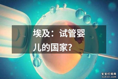 埃及：试管婴儿的国家？