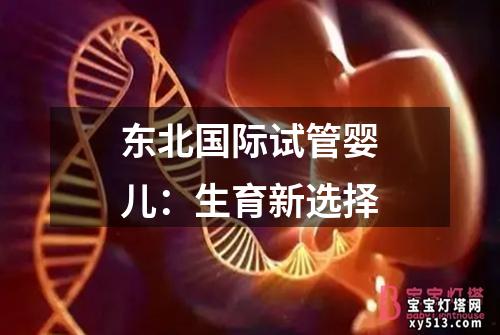 东北国际试管婴儿：生育新选择