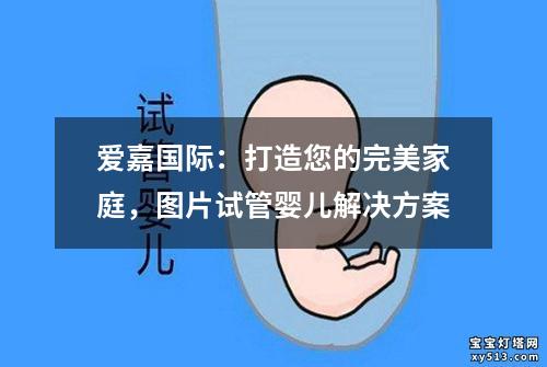 爱嘉国际：打造您的完美家庭，图片试管婴儿解决方案