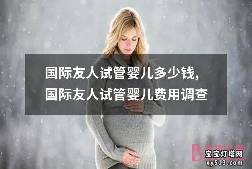 国际友人试管婴儿多少钱,国际友人试管婴儿费用调查