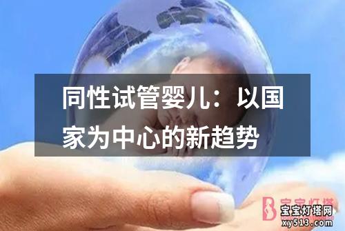 同性试管婴儿：以国家为中心的新趋势