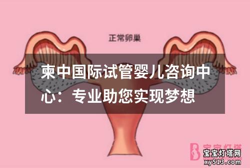 柬中国际试管婴儿咨询中心：专业助您实现梦想