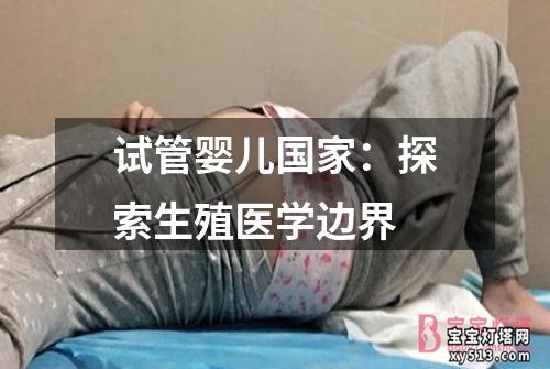 试管婴儿国家：探索生殖医学边界