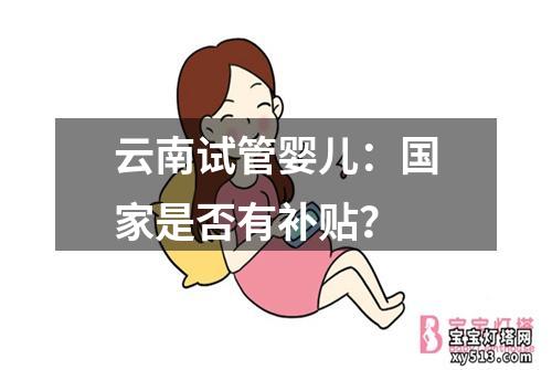 云南试管婴儿：国家是否有补贴？