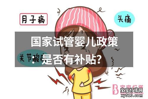 国家试管婴儿政策：是否有补贴？