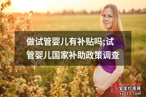 做试管婴儿有补贴吗;试管婴儿国家补助政策调查