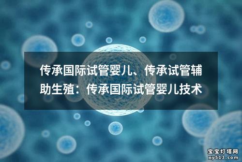 传承国际试管婴儿、传承试管辅助生殖：传承国际试管婴儿技术