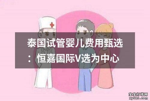 泰国试管婴儿费用甄选：恒嘉国际V选为中心