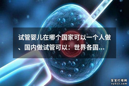 试管婴儿在哪个国家可以一个人做、国内做试管可以：世界各国试管婴儿政策比较