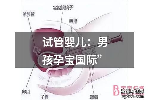 试管婴儿：男孩孕宝国际”