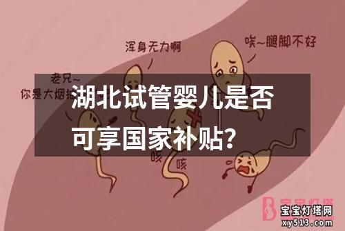 湖北试管婴儿是否可享国家补贴？