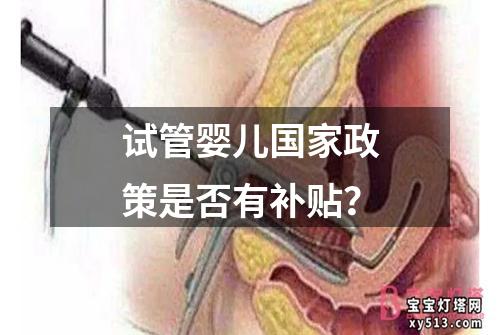 试管婴儿国家政策是否有补贴？