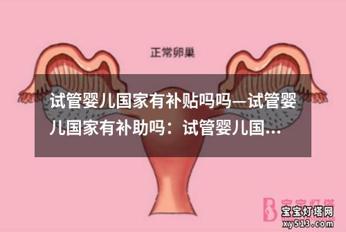 试管婴儿国家有补贴吗吗—试管婴儿国家有补助吗：试管婴儿国家补贴政策调查