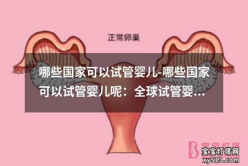 哪些国家可以试管婴儿-哪些国家可以试管婴儿呢：全球试管婴儿新动态-哪些国家是最佳选择