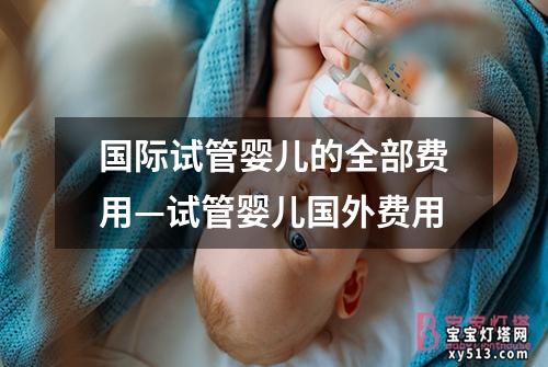 国际试管婴儿的全部费用—试管婴儿国外费用