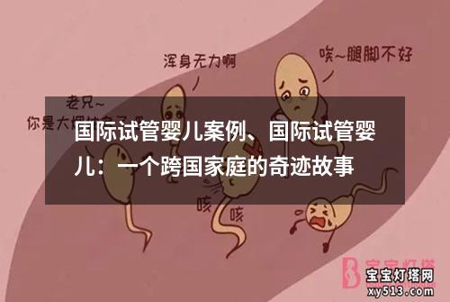 国际试管婴儿案例、国际试管婴儿：一个跨国家庭的奇迹故事