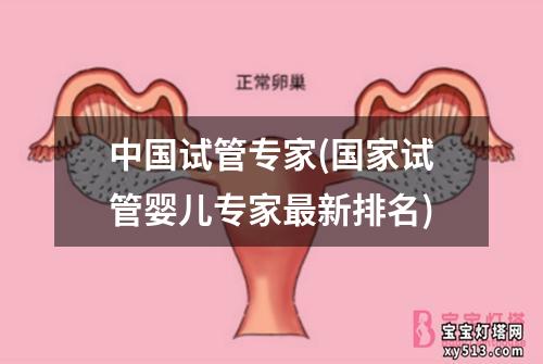 中国试管专家(国家试管婴儿专家最新排名)