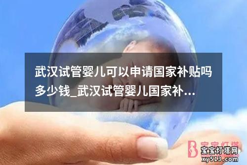 武汉试管婴儿可以申请国家补贴吗多少钱_武汉试管婴儿国家补贴政策解析