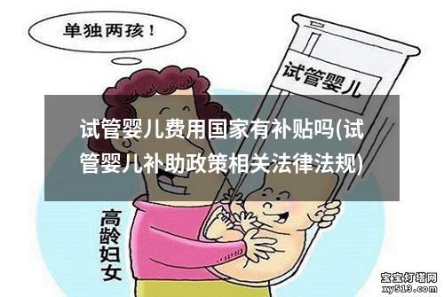 试管婴儿费用国家有补贴吗(试管婴儿补助政策相关法律法规)