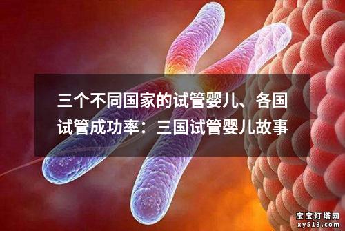 三个不同国家的试管婴儿、各国试管成功率：三国试管婴儿故事