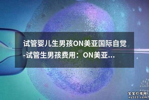 试管婴儿生男孩ON美亚国际自觉-试管生男孩费用：ON美亚国际：试管婴儿生男孩自觉为中心